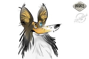Animal Event Voskes 3 Animal Event Voskes 3