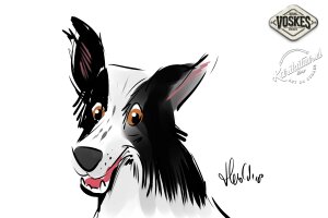 Animal Event Voskes 3 Animal Event Voskes 3