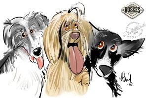 Animal Event Voskes 3 Animal Event Voskes 3