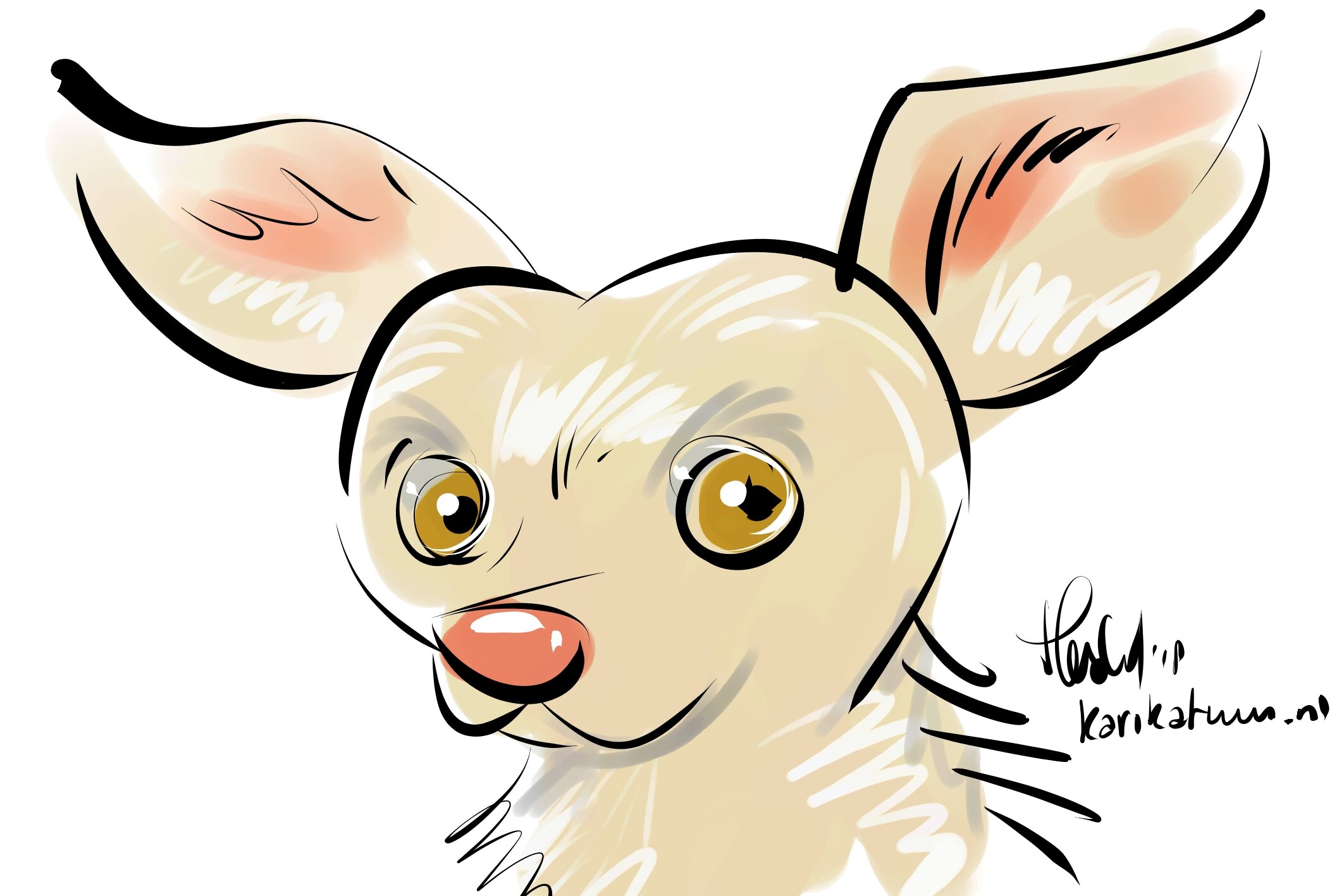 Animal Events Voskes 1