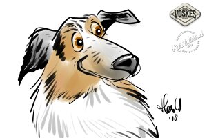 Animal Event Voskes 2 Animal Event Voskes 2