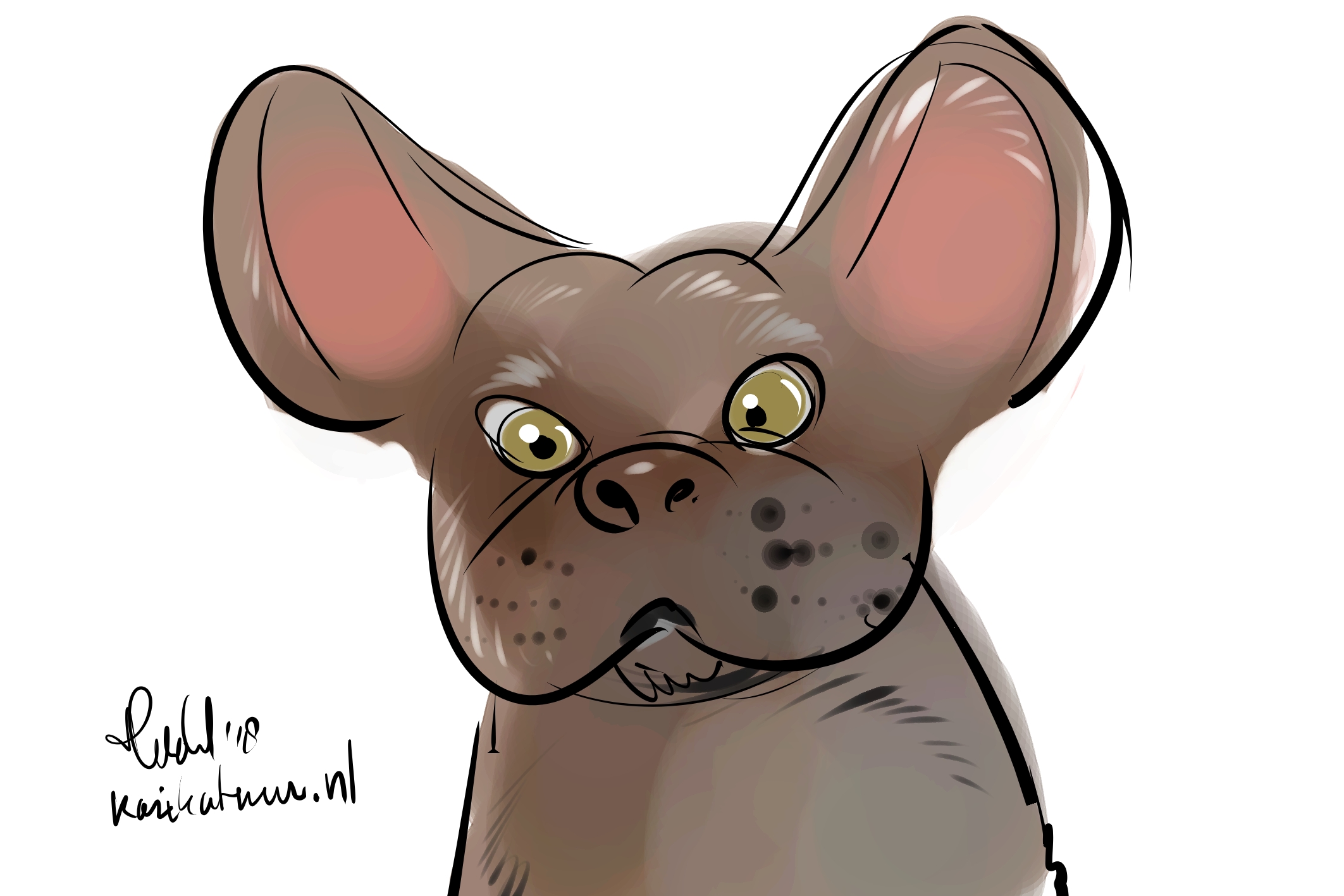 Karikatuur